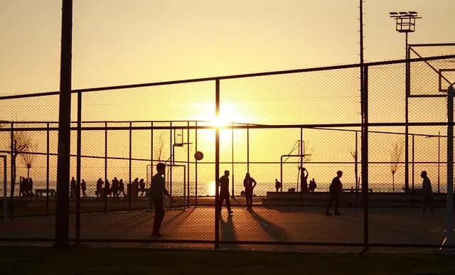 Les meilleures baskets pour le basketball : guide exclusif