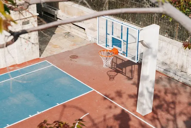 Comment choisir des baskets adaptées au basketball : guide complet
